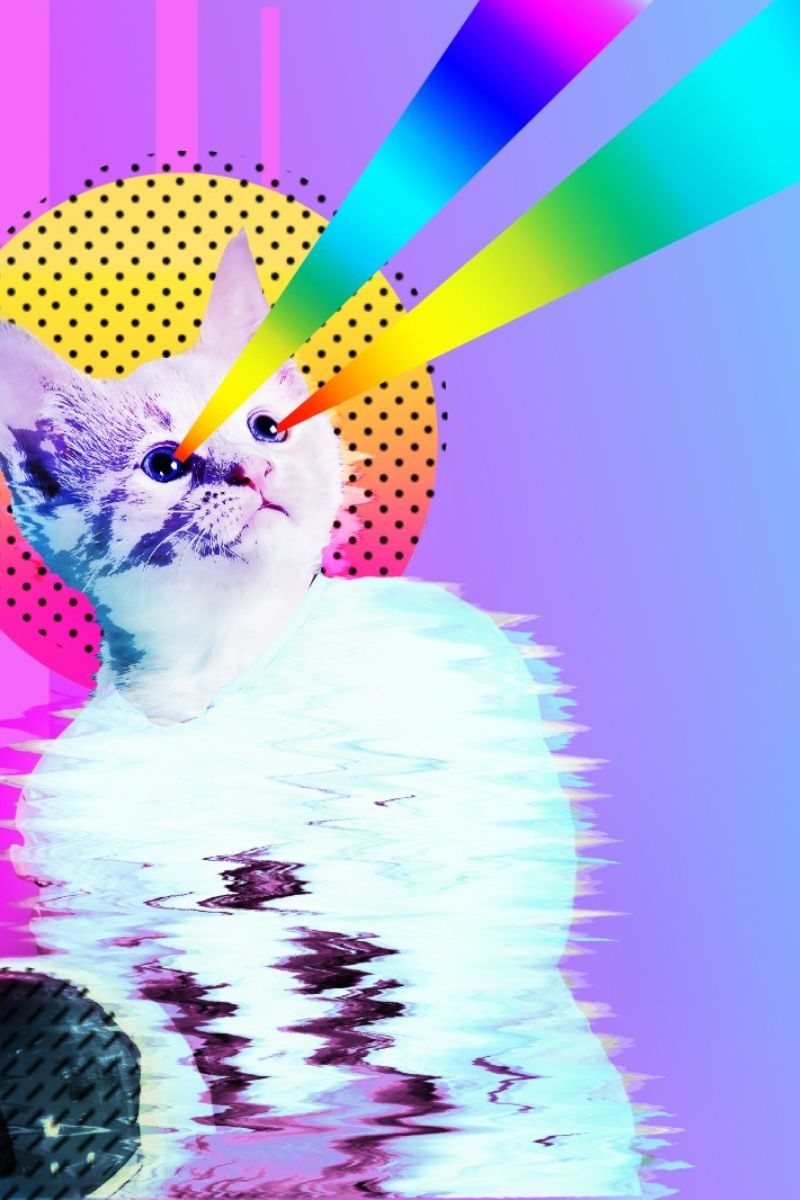 noragrets cat laser 